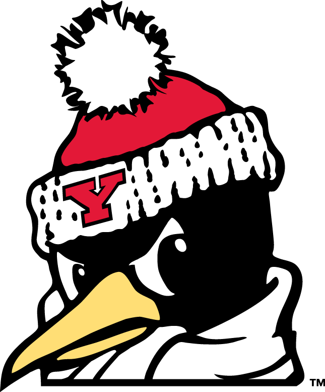 Youngstown State Penguins 1993-Pres Alternate Logo v6 diy iron on heat transfer